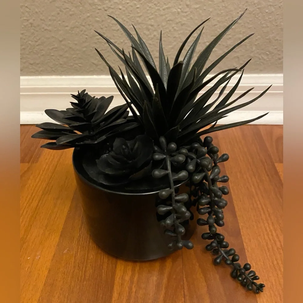 Black Faux Succulent Plant